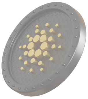 coin